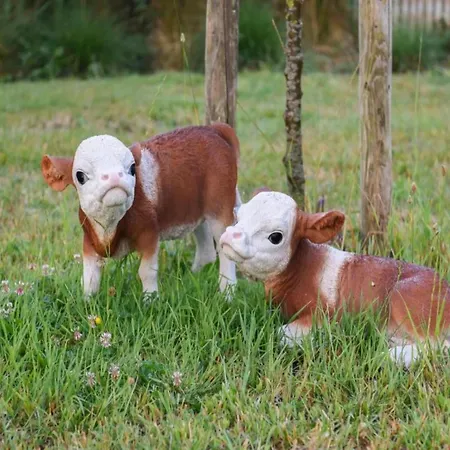 Attic In By The * Nieuwpoort