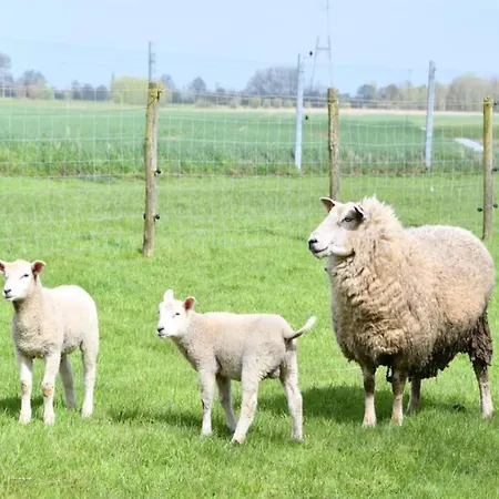 Apartman Attic In By The