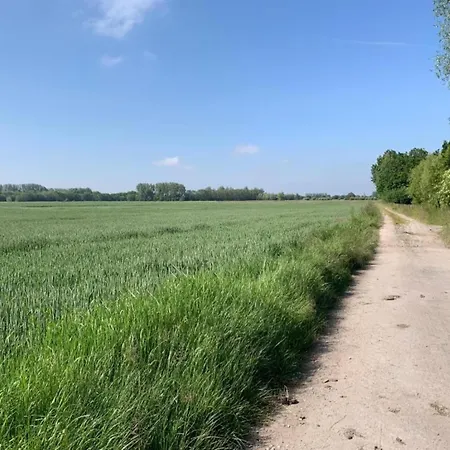 Attic In By The Apartman Nieuwpoort