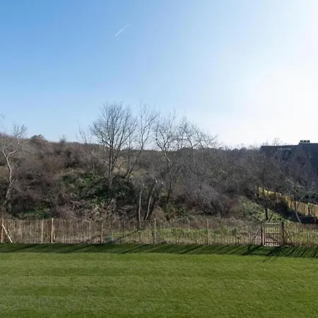 Attic In By The * Nieuwpoort