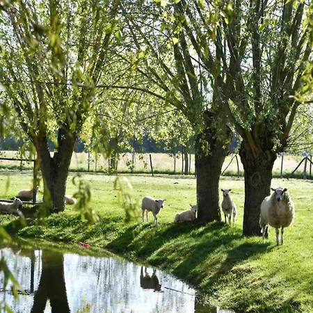Attic In By The Appartamento Nieuwpoort