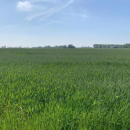 Apartman Attic In By The Nieuwpoort